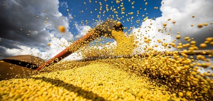 Produção agrícola brasileira bate recorde em 2020 com demanda aquecida